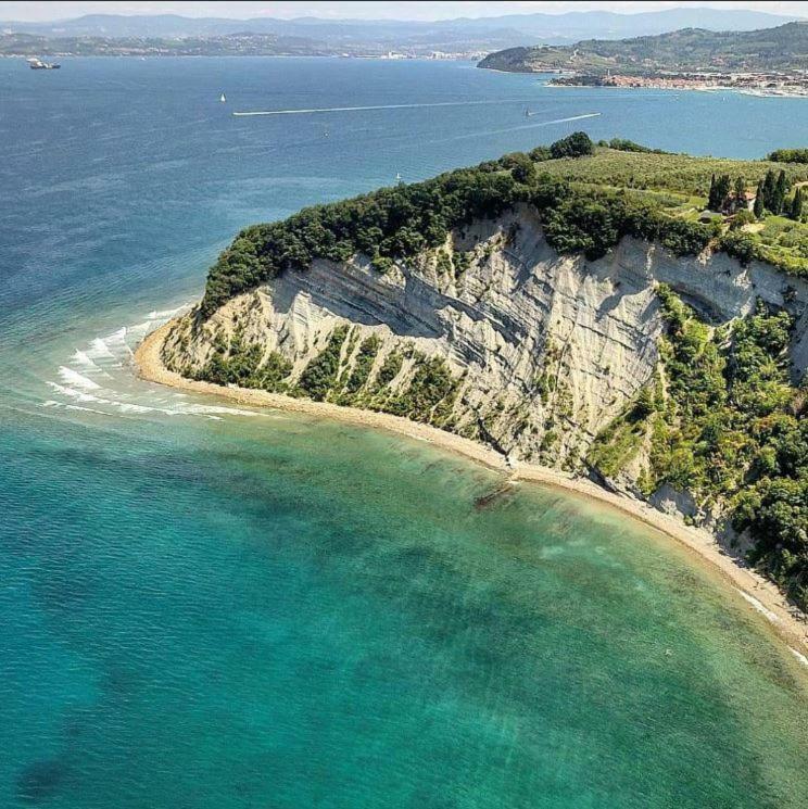 Apartment Istrian View Šmarje Kültér fotó